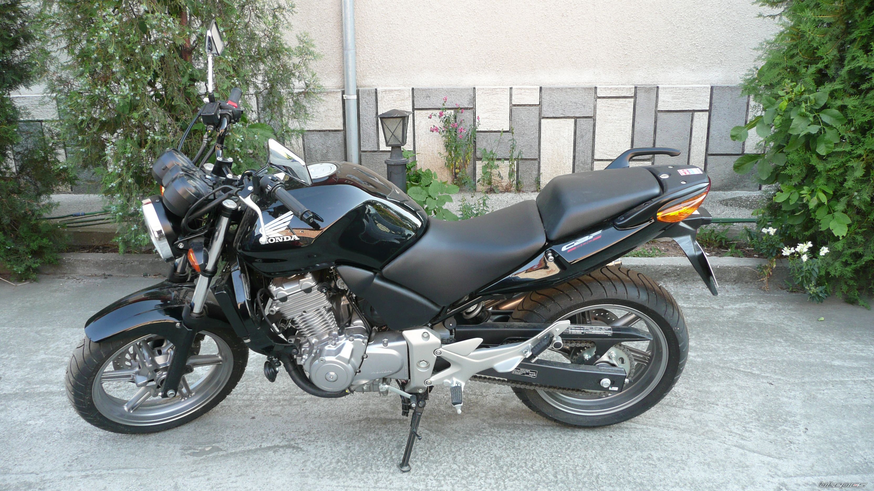 Photo 1302489