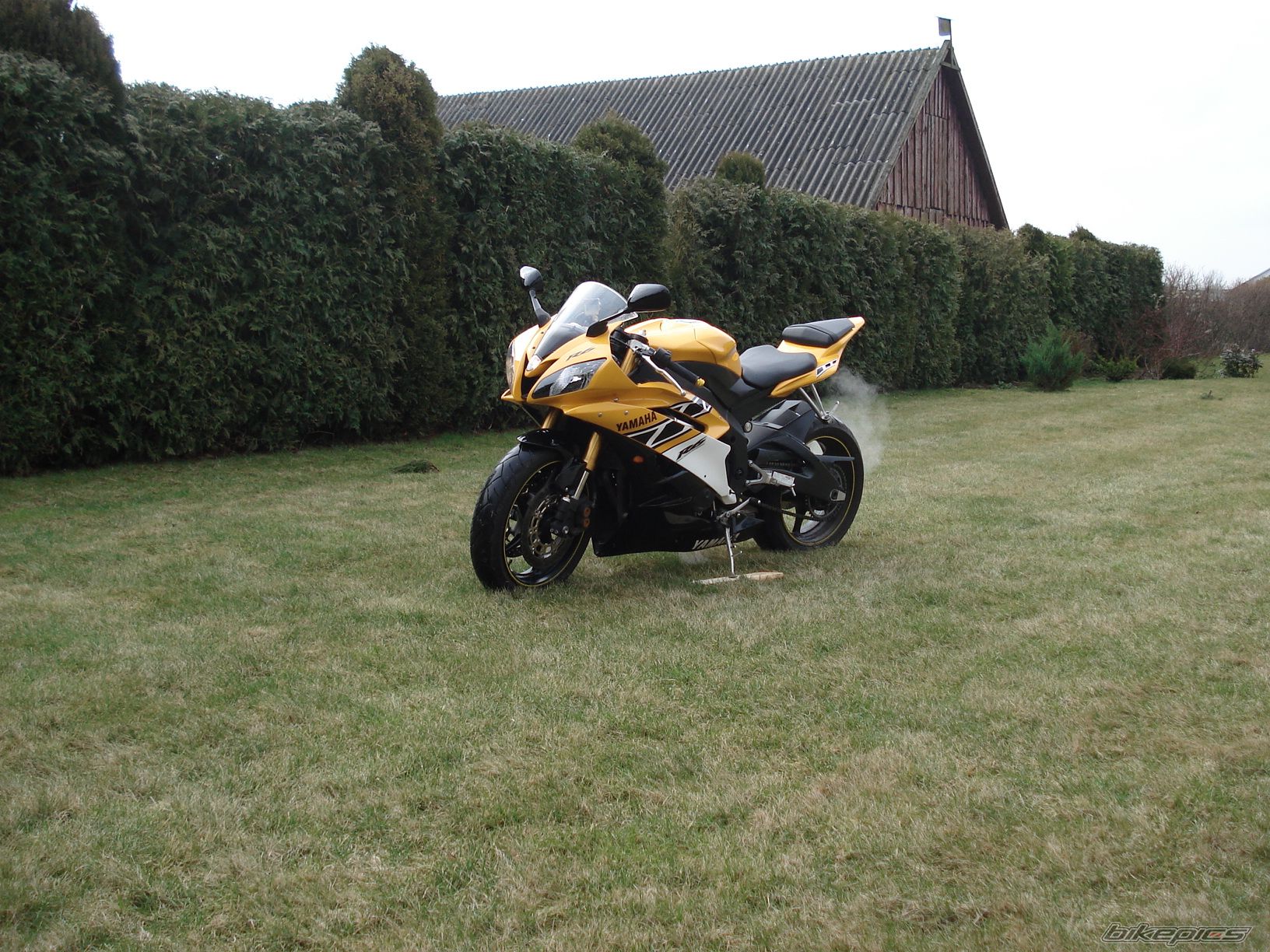 Photo 1302516