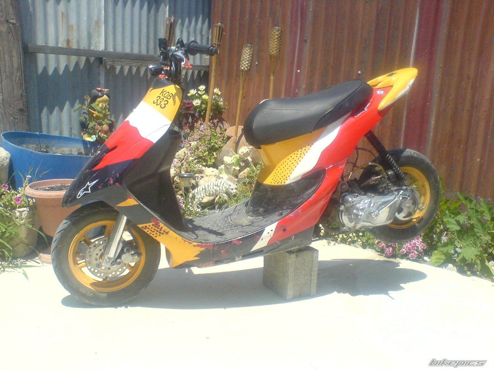 Photo 1302580