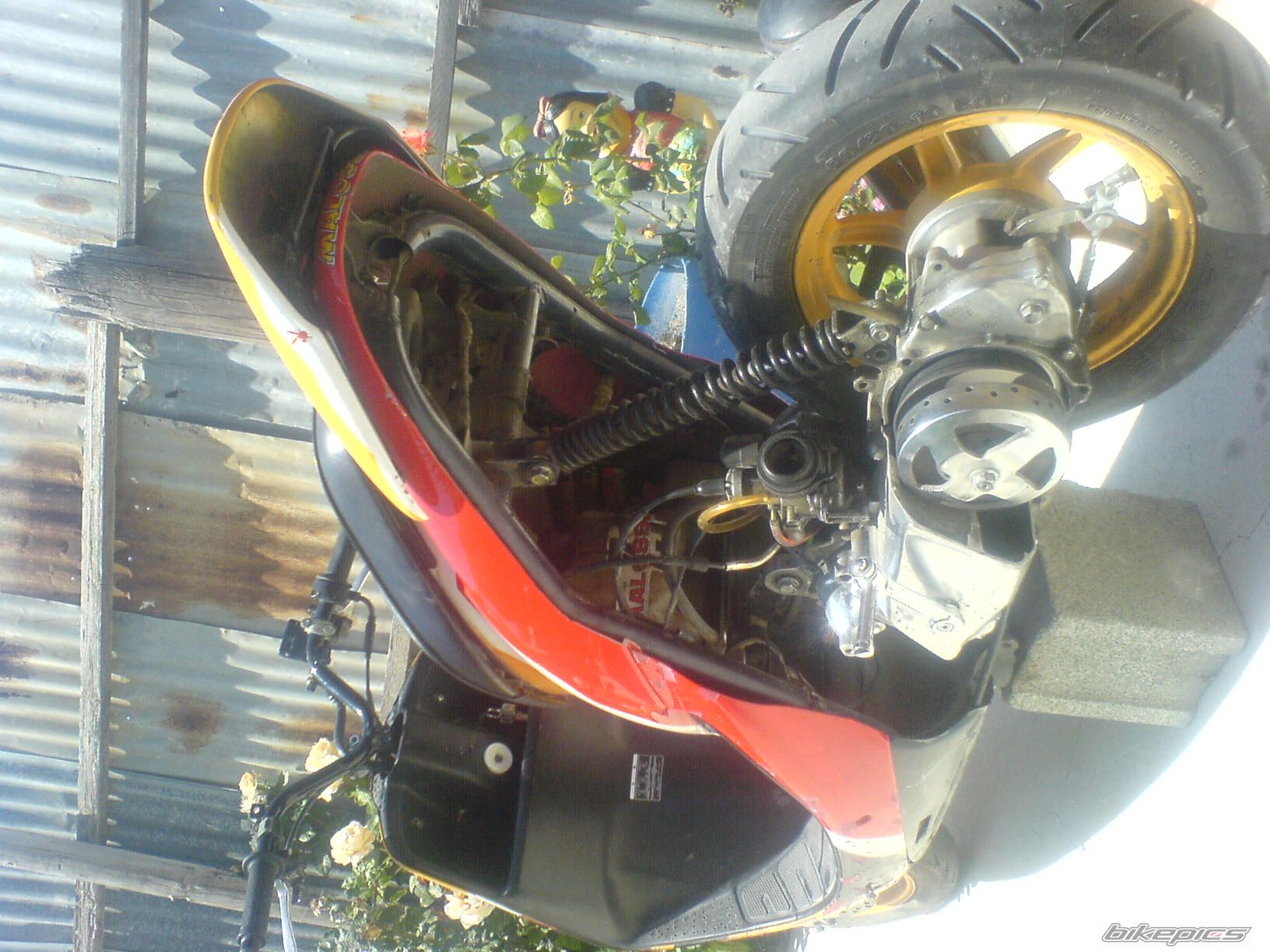 Photo 1302612