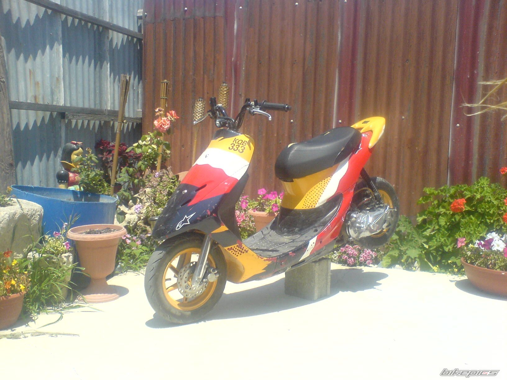 Photo 1302613