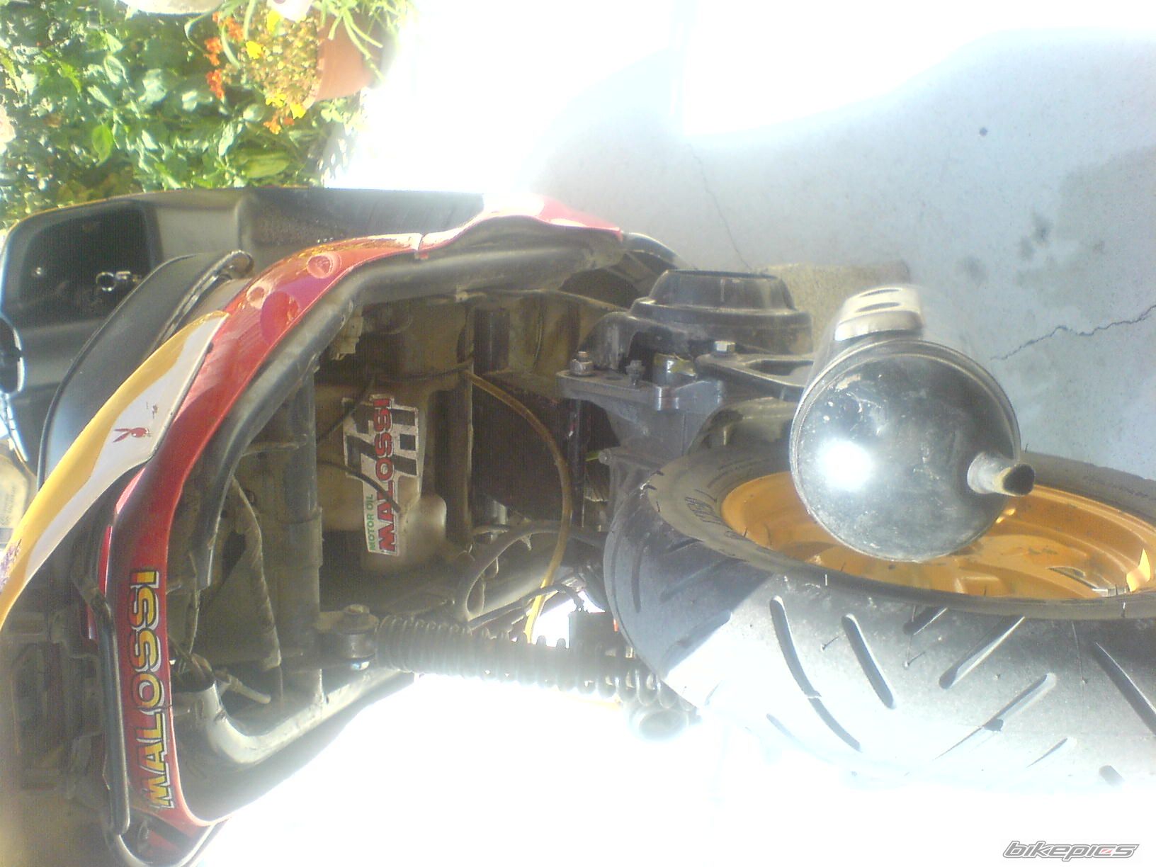 Photo 1302614