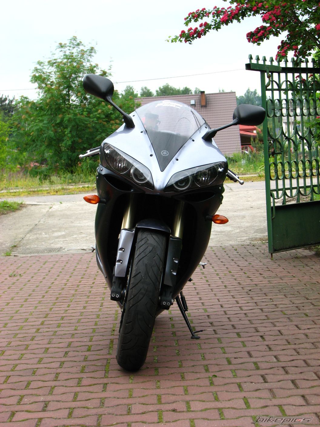 Photo 1302644