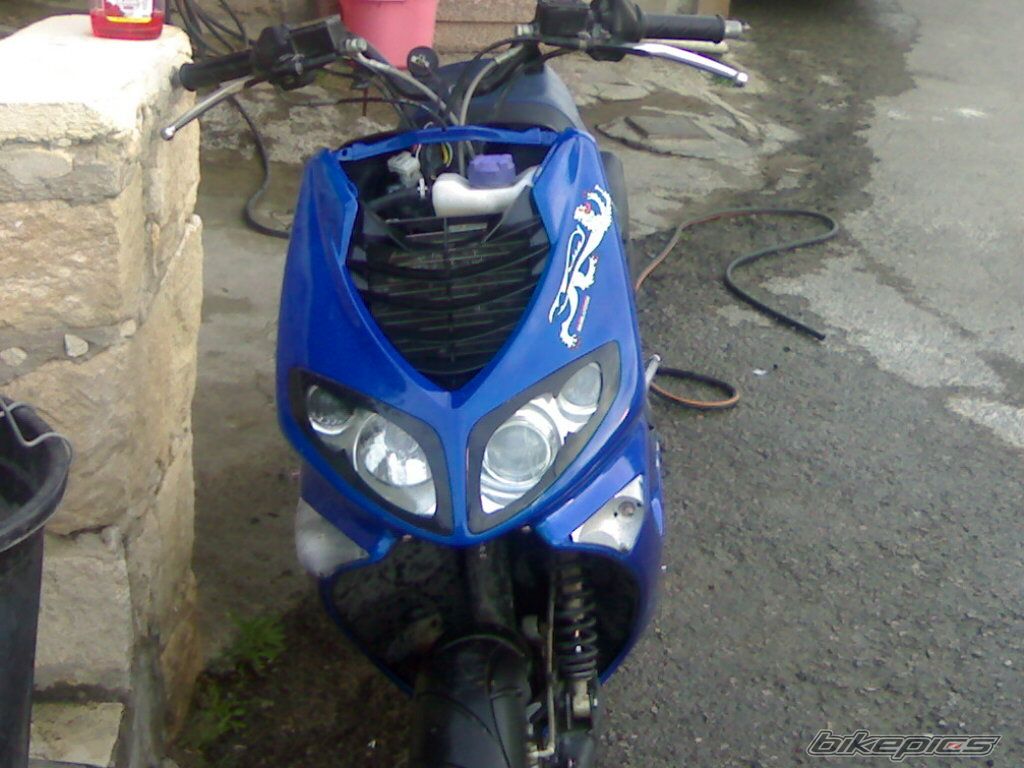 Photo 1302682
