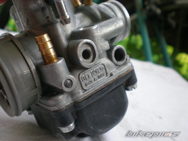 Photo 1302694