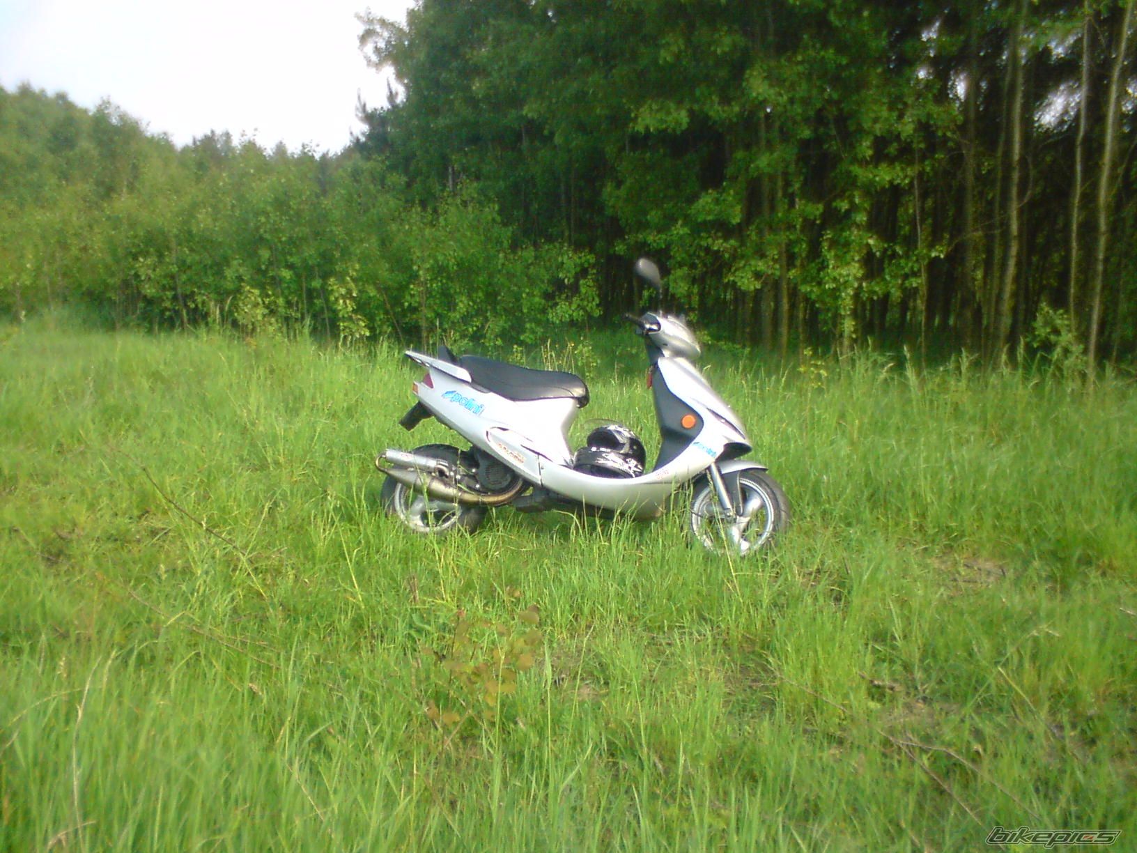 Photo 1302725