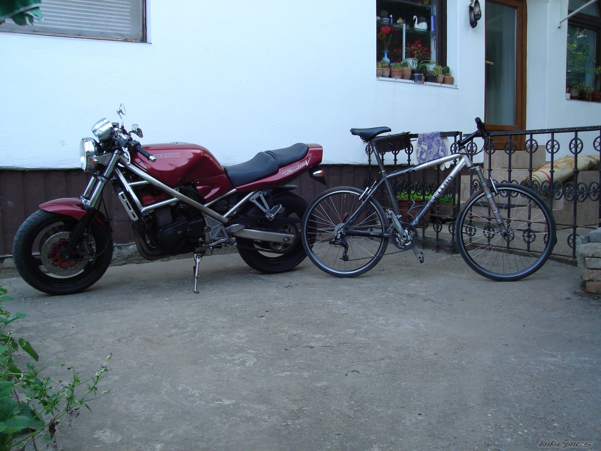 Photo 1302778