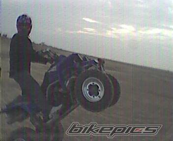 Photo 130279