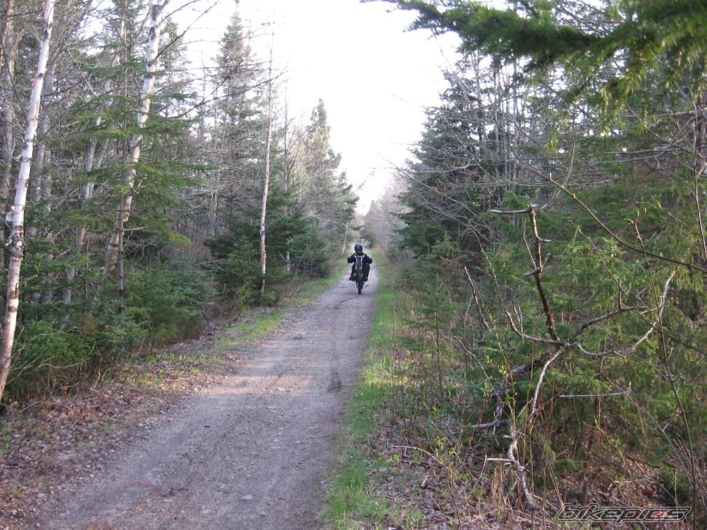 Photo 1302852