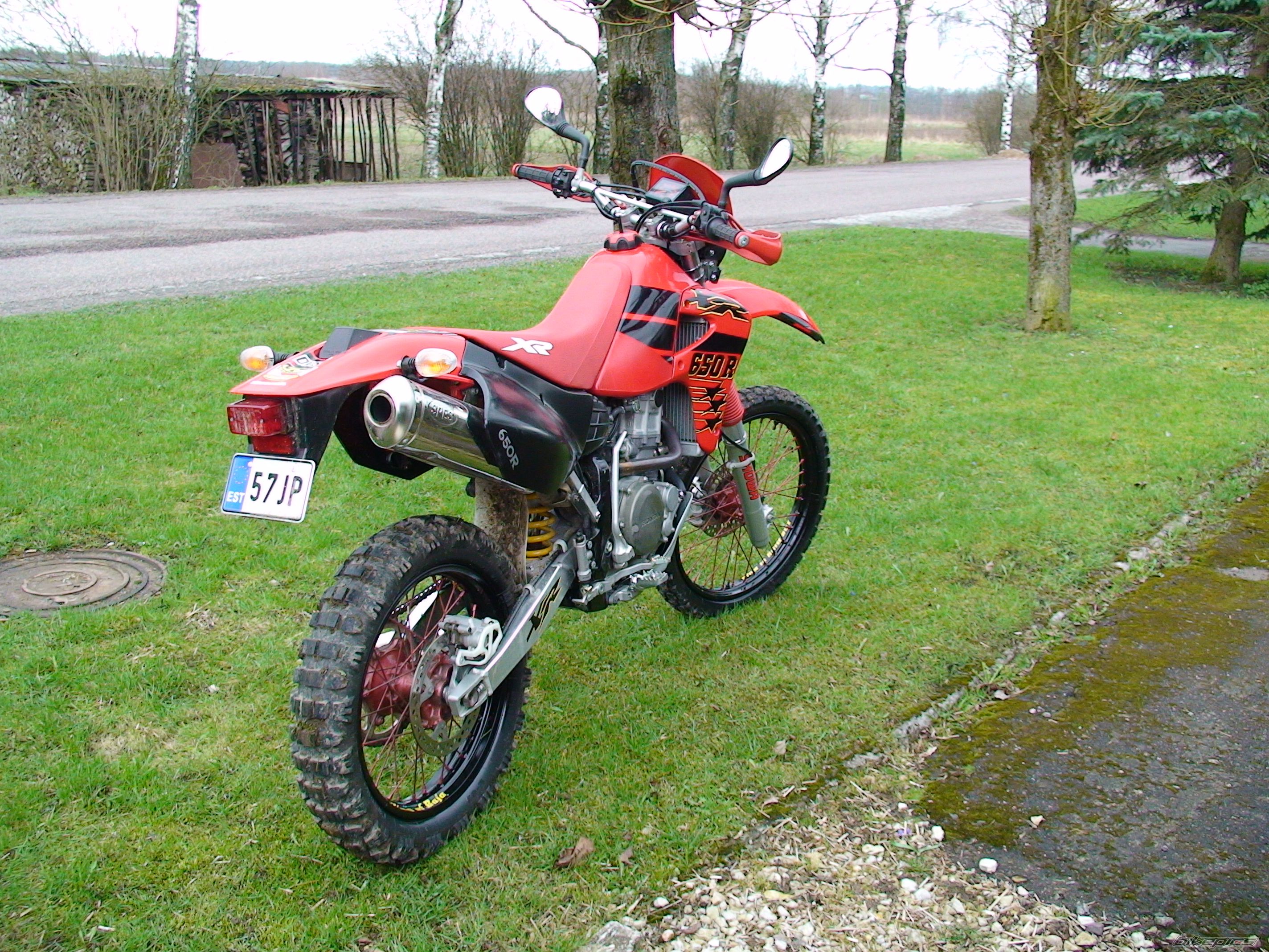 Photo 1302855