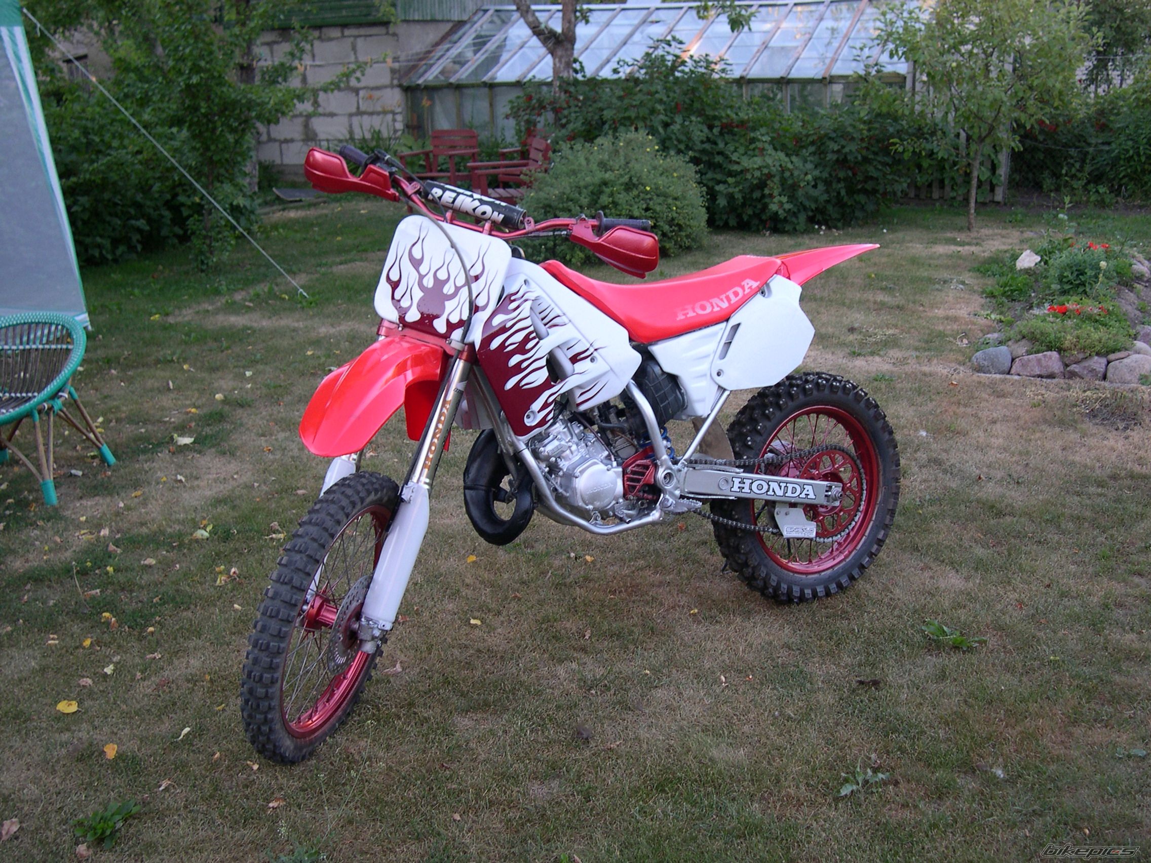Photo 1302859