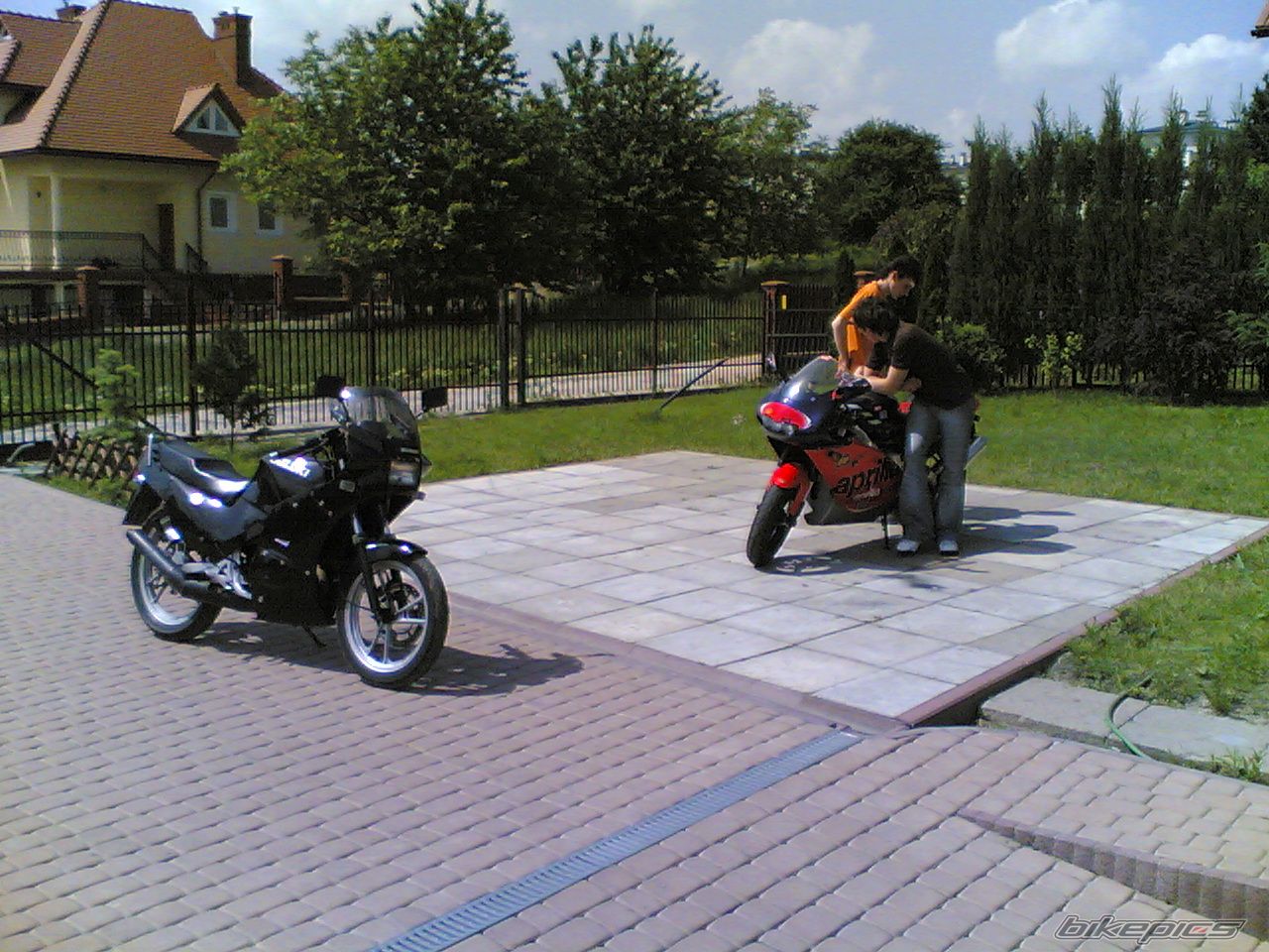 Photo 1302868