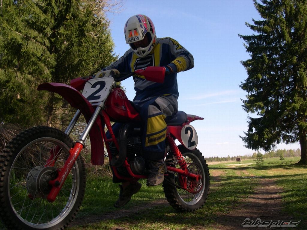 Photo 1302869