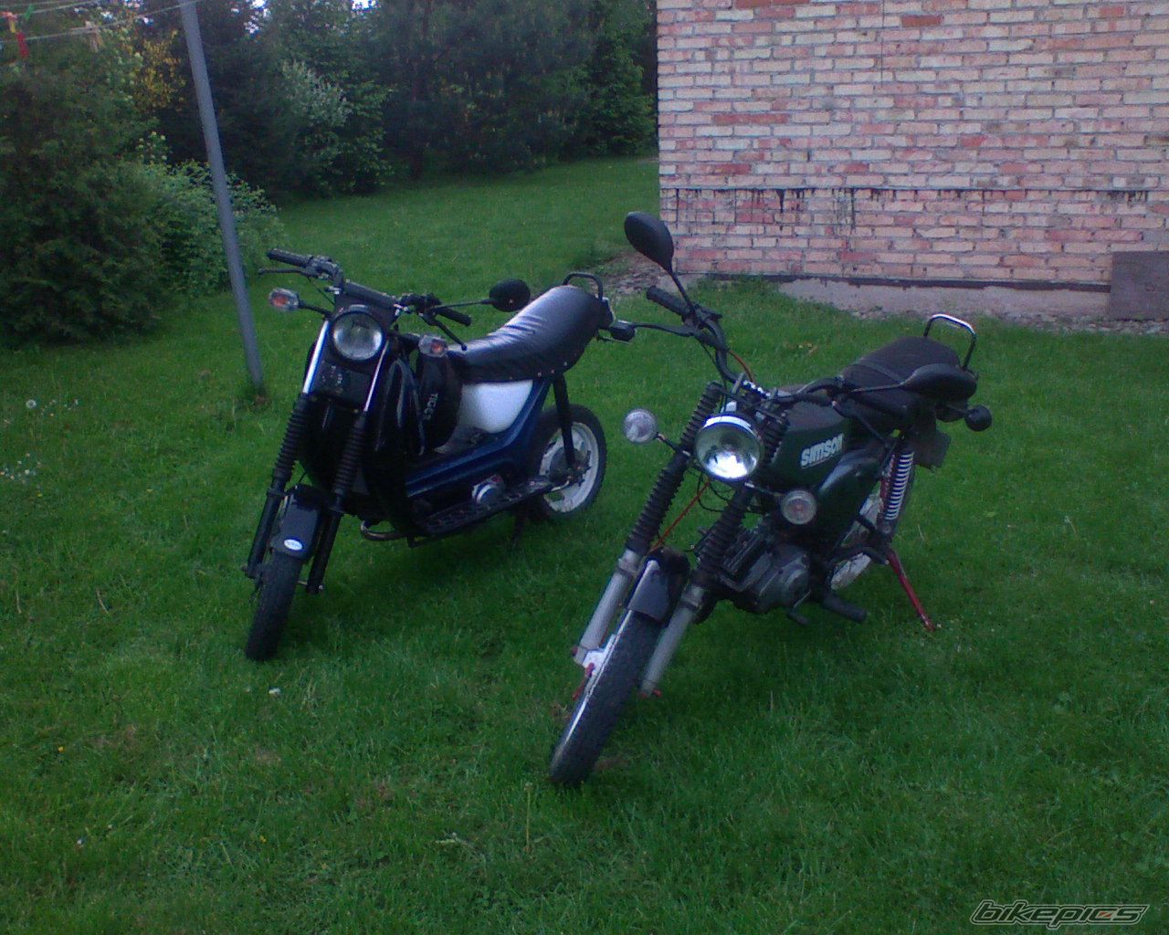 Photo 1302872