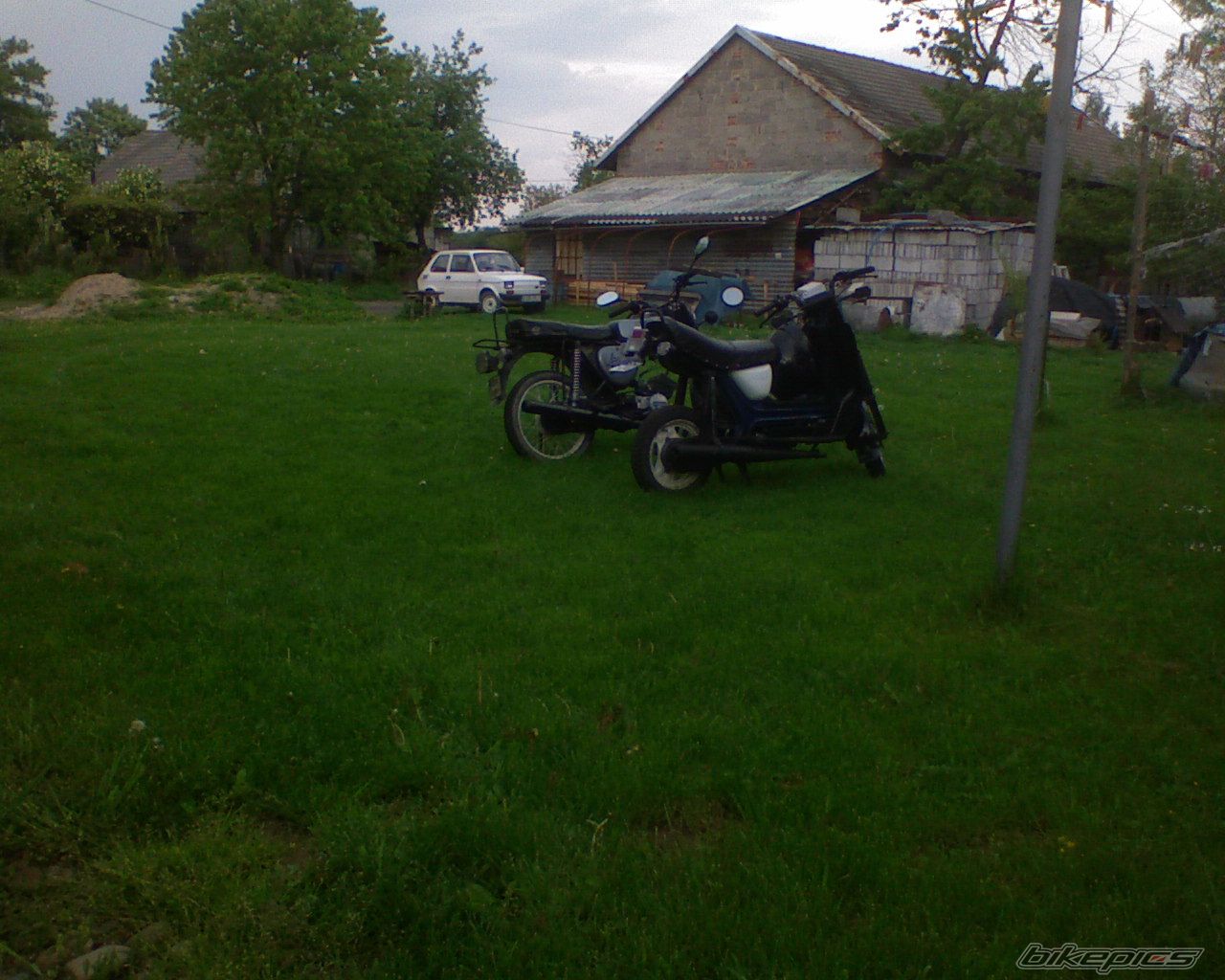 Photo 1302873