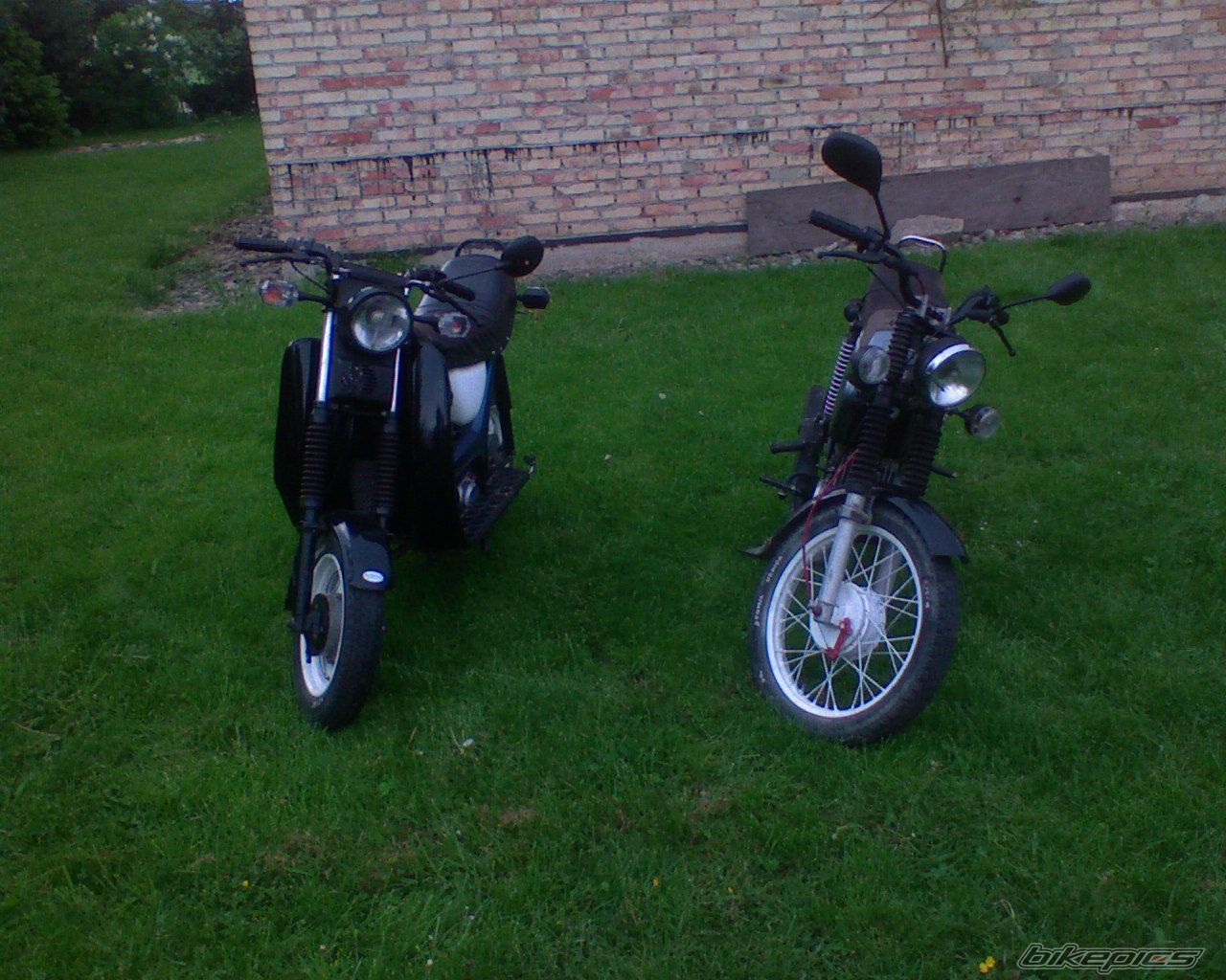 Photo 1302874