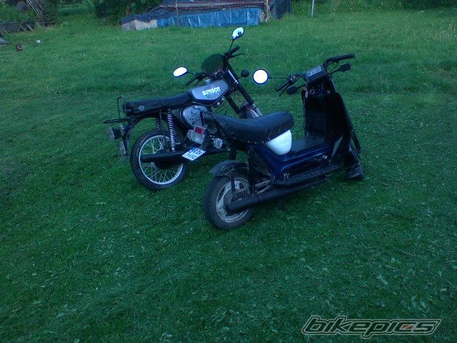 Photo 1302881