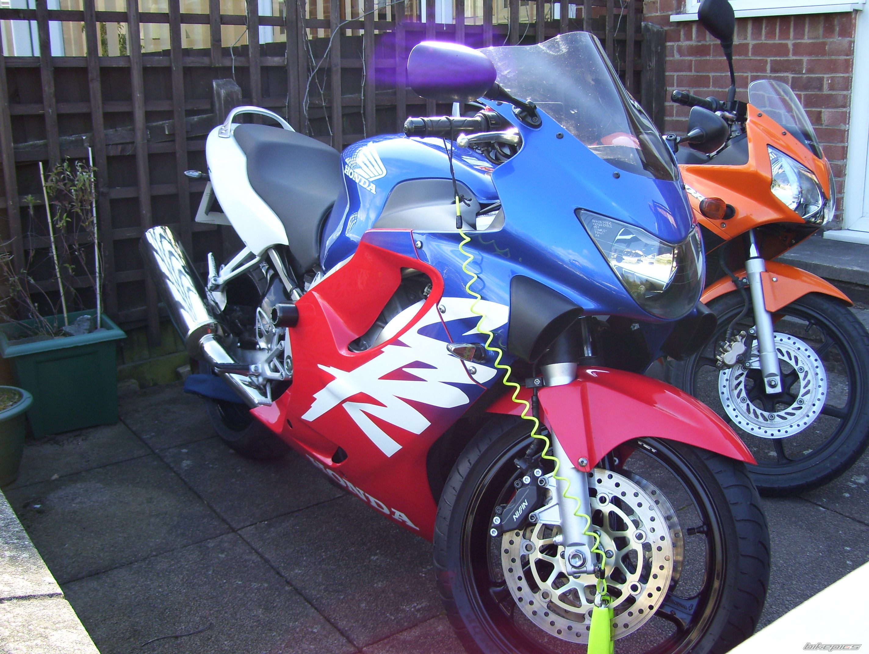 Photo 1302984