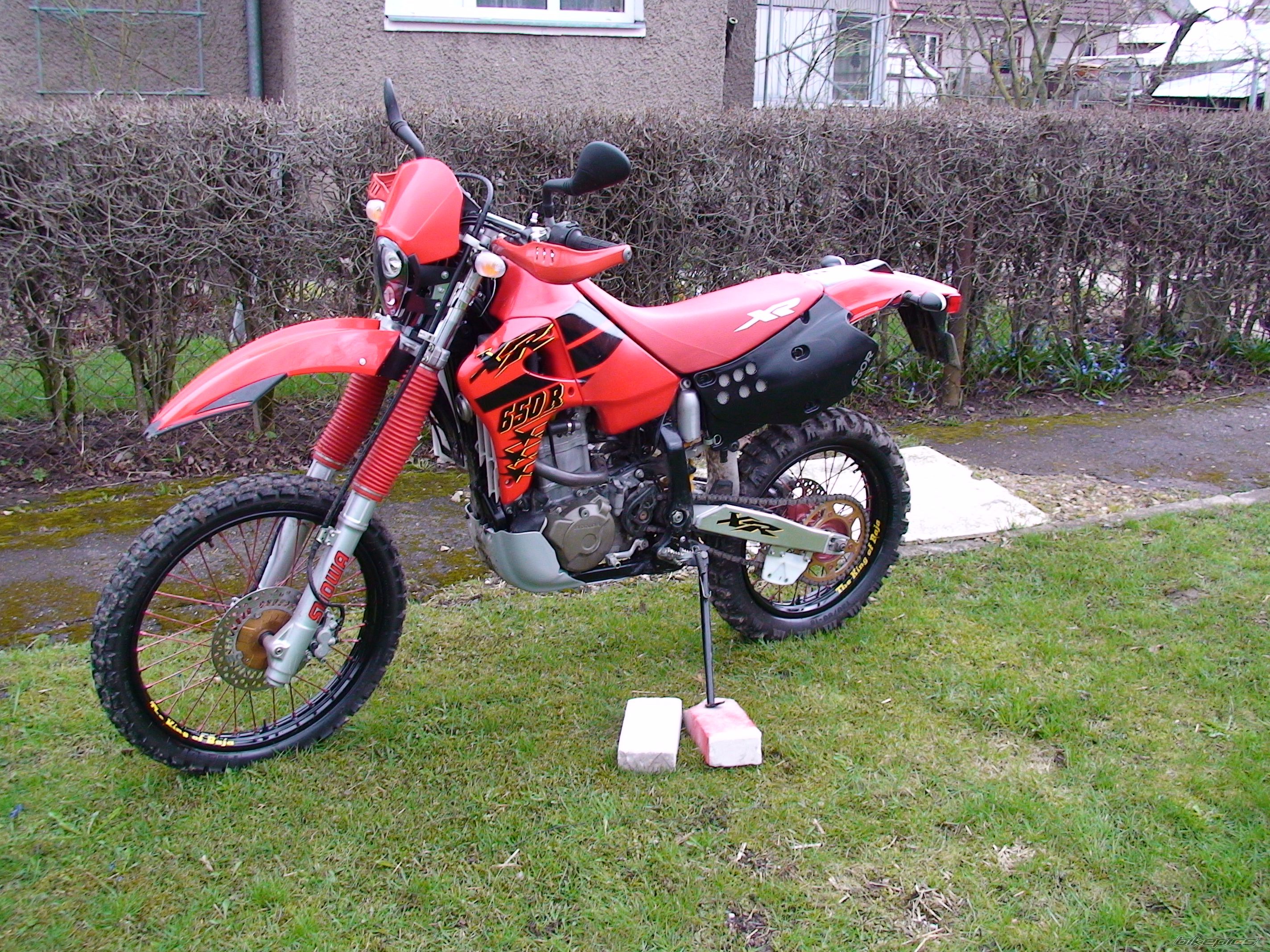 Photo 1302995