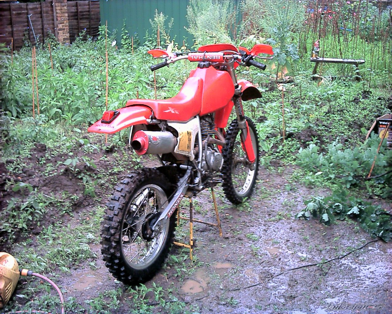 Bike Photo 1303011