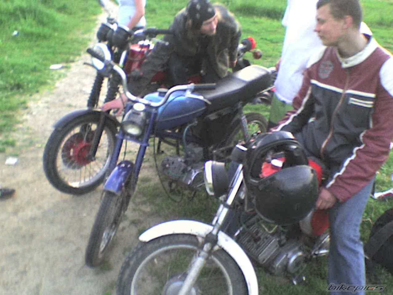 Photo 1303025