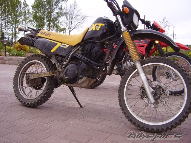 Photo 1303034