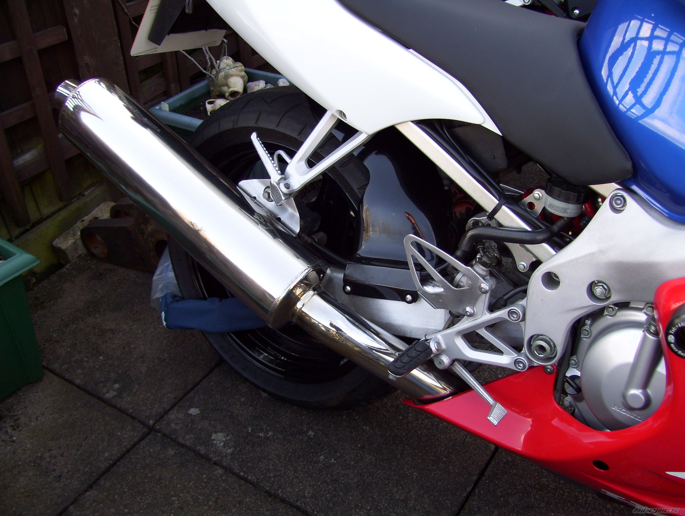 Photo 1303038