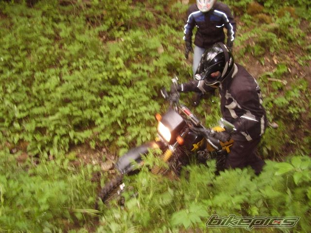 Bike Photo 1303048