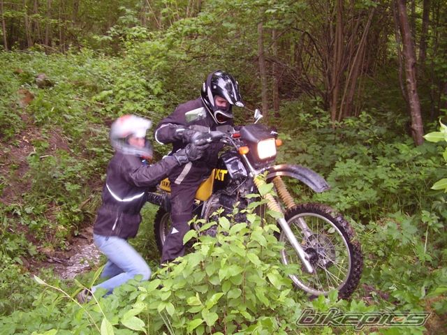Photo 1303049