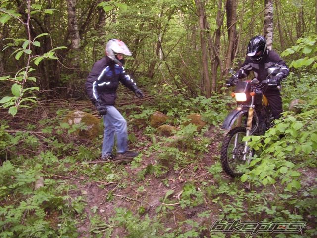 Photo 1303051