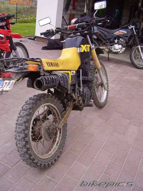 Photo 1303052