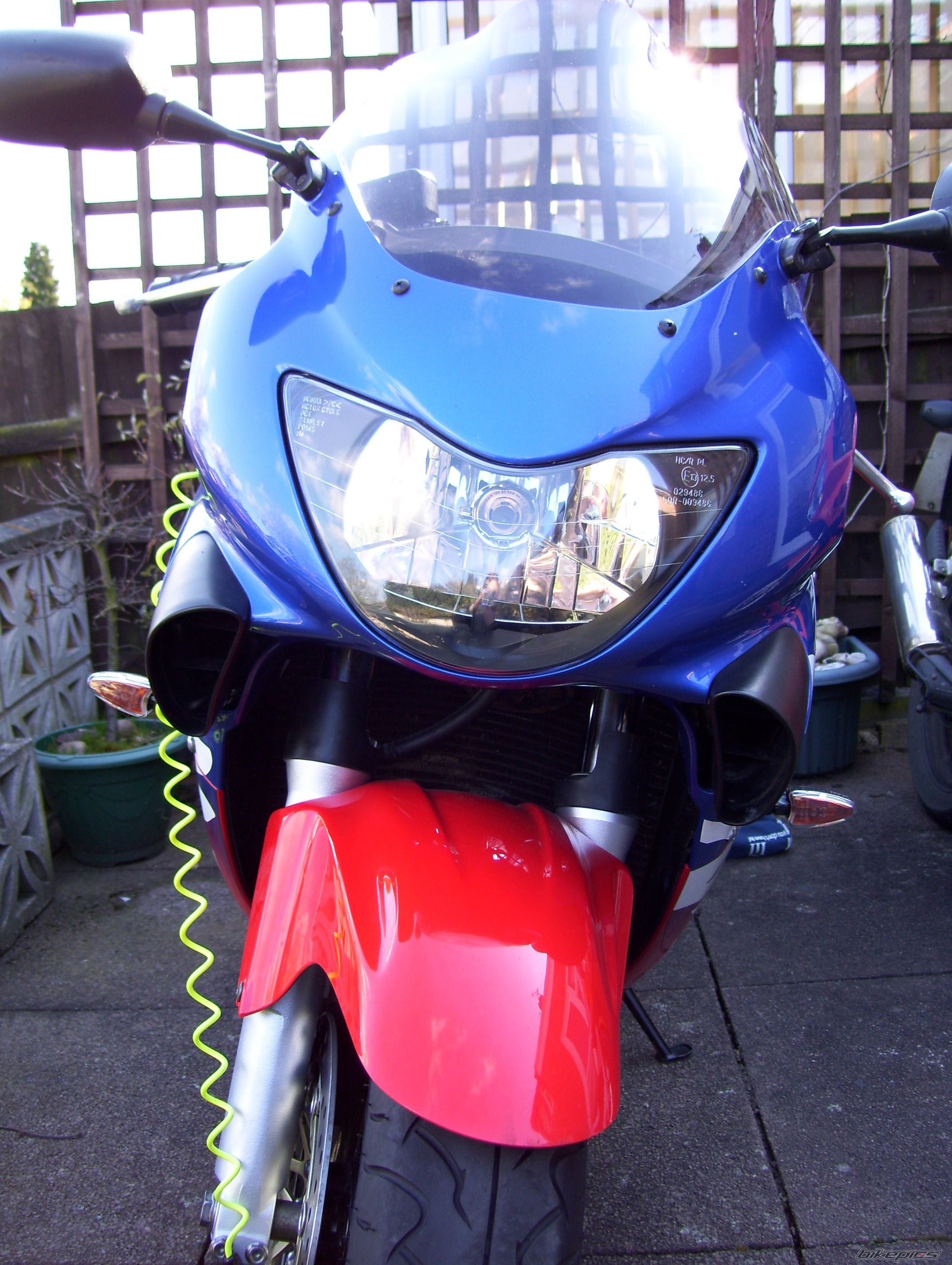 Photo 1303071