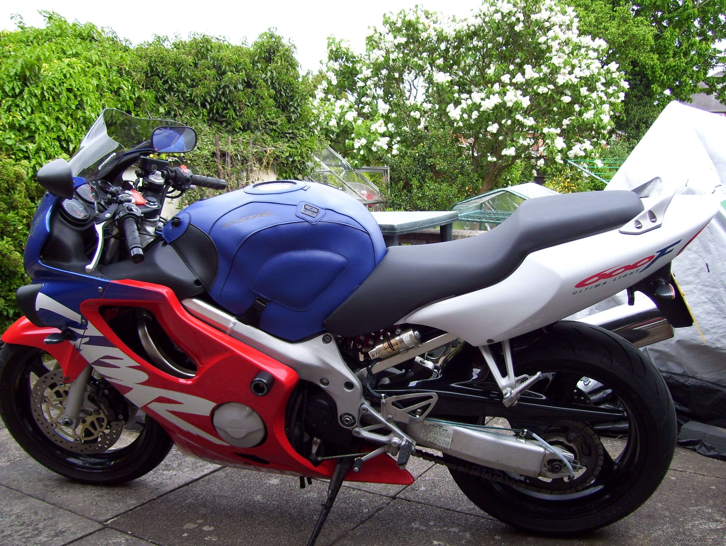 Photo 1303087
