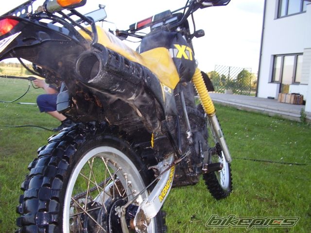 Photo 1303088