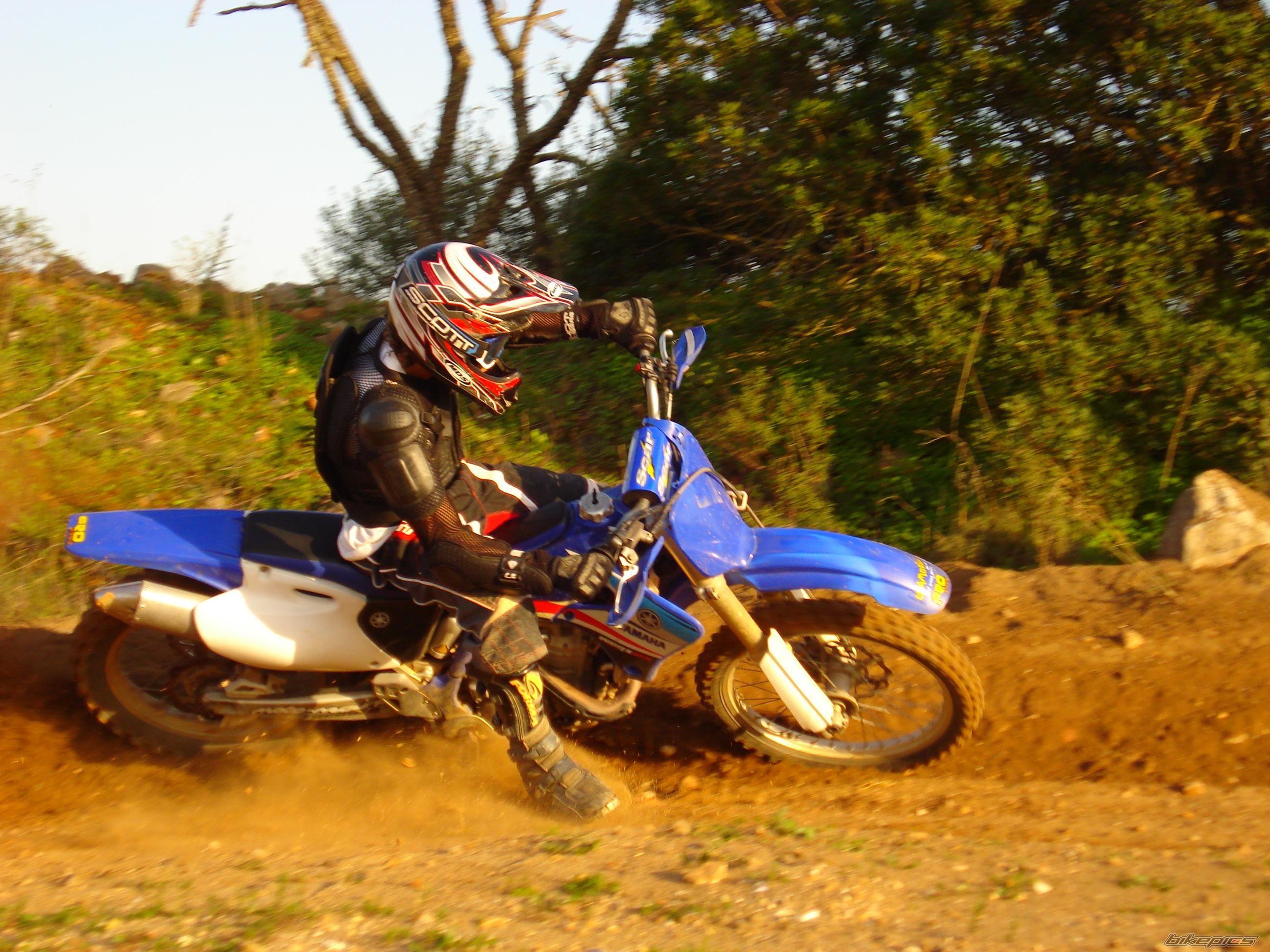 Photo 1303132