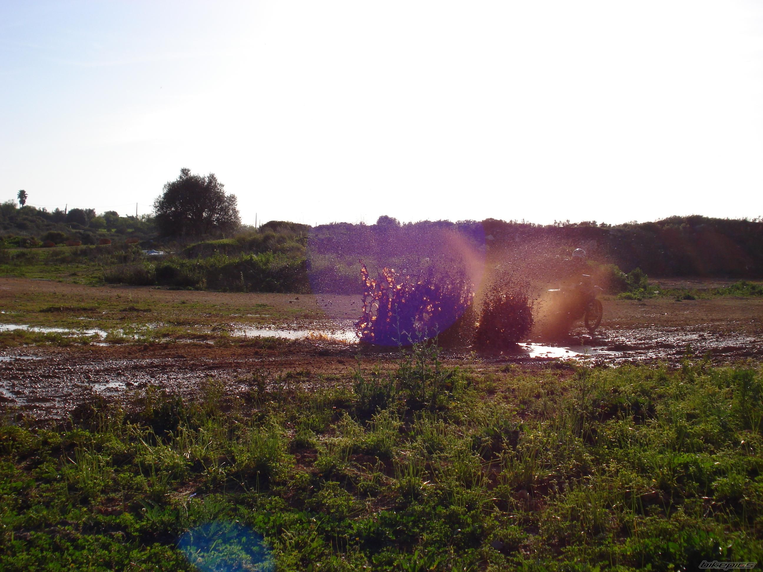 Photo 1303135