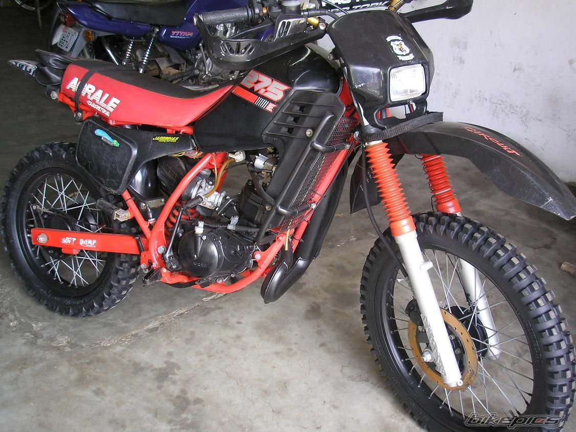Bike Photo 1303158
