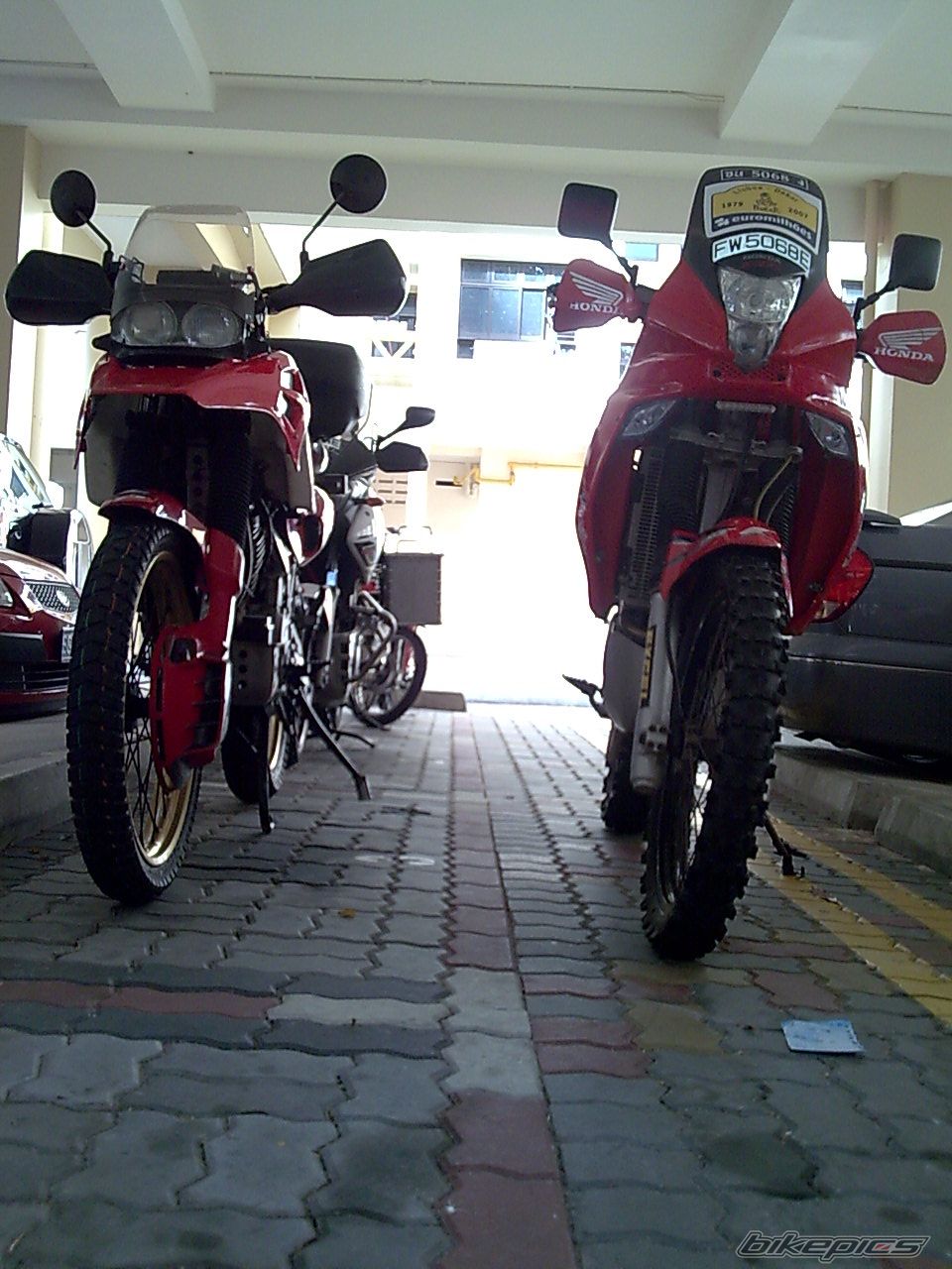 Photo 1303213