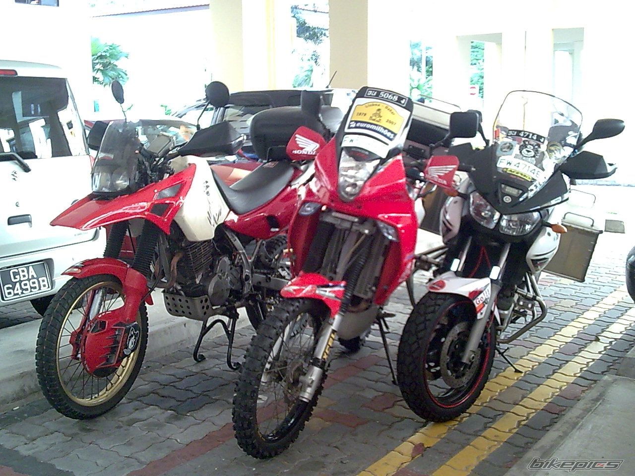 Photo 1303214