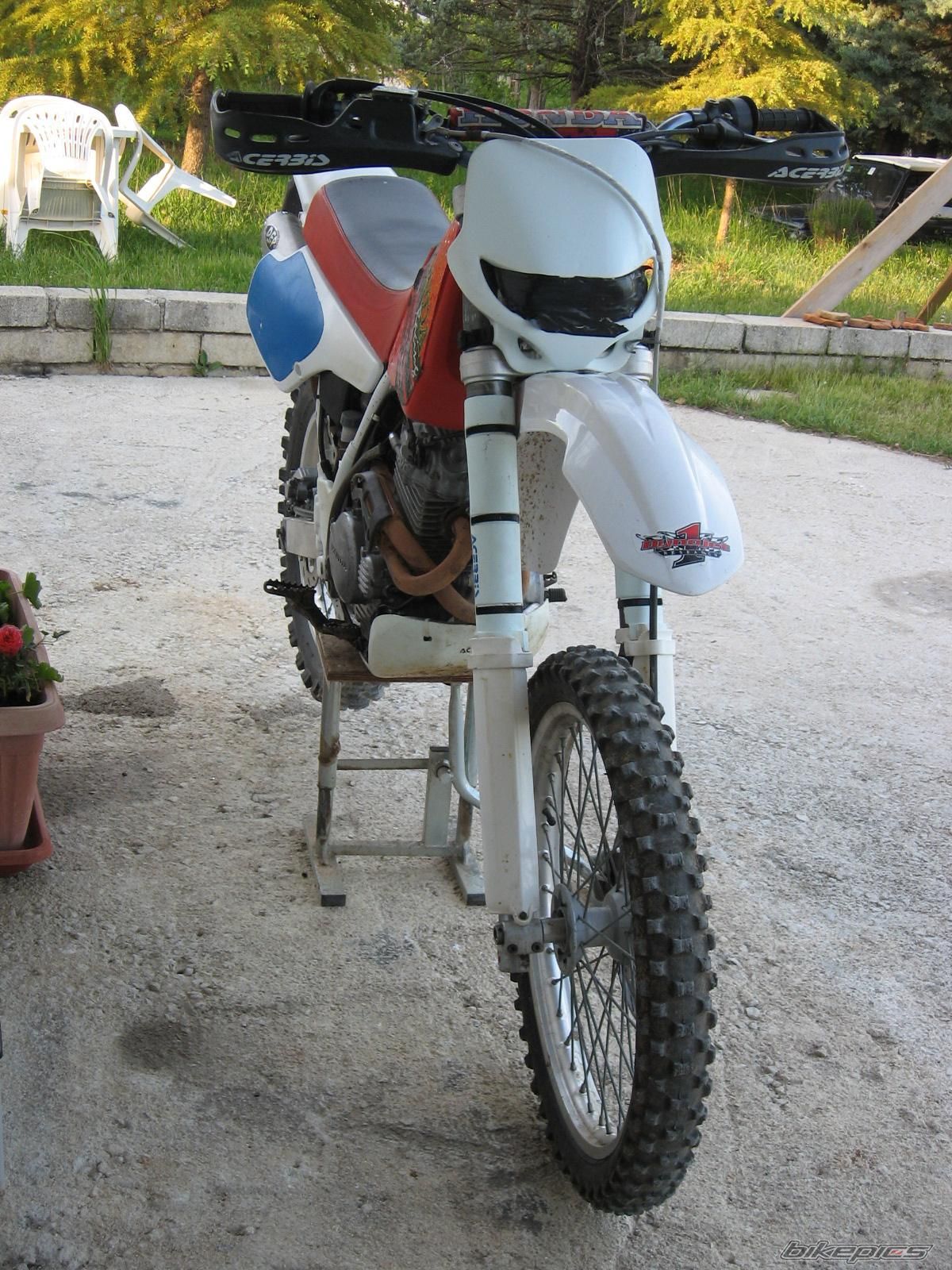 Photo 1303316