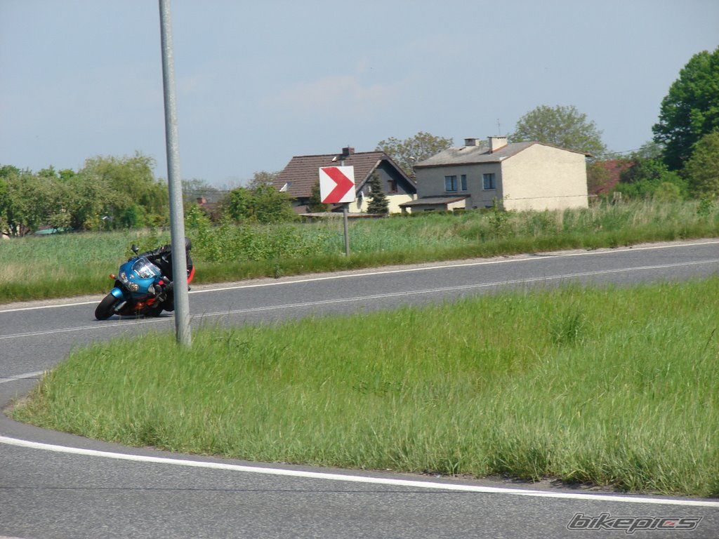 Photo 1303355