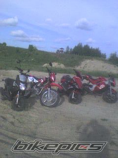 Photo 1303356