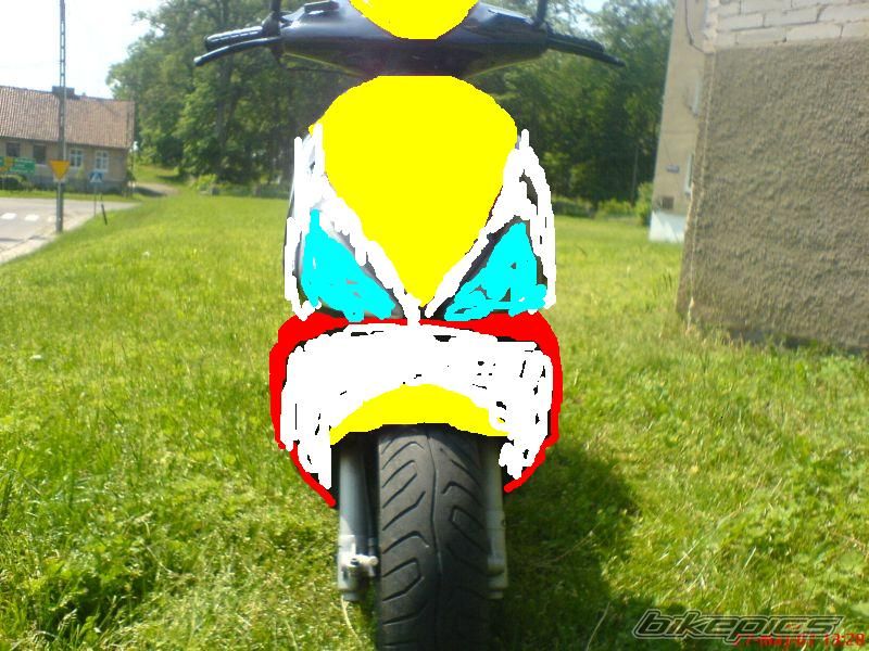Photo 1303362