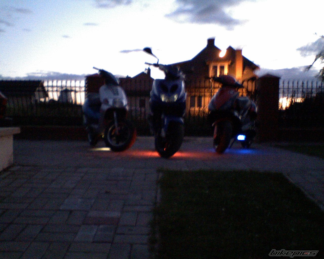 Photo 1303365