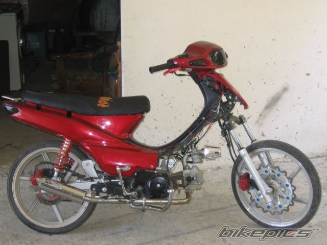 Photo 1303372