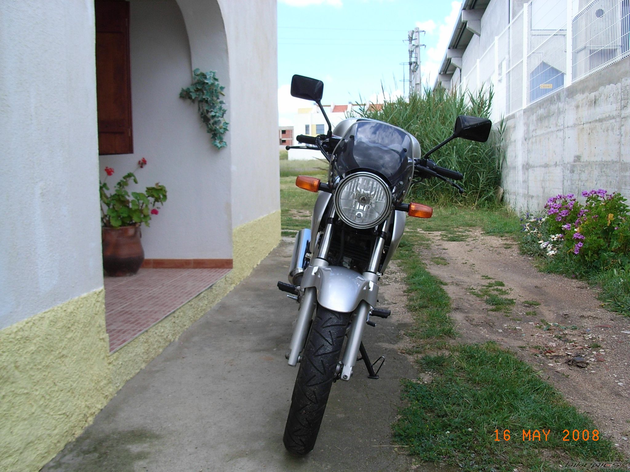 Photo 1303382