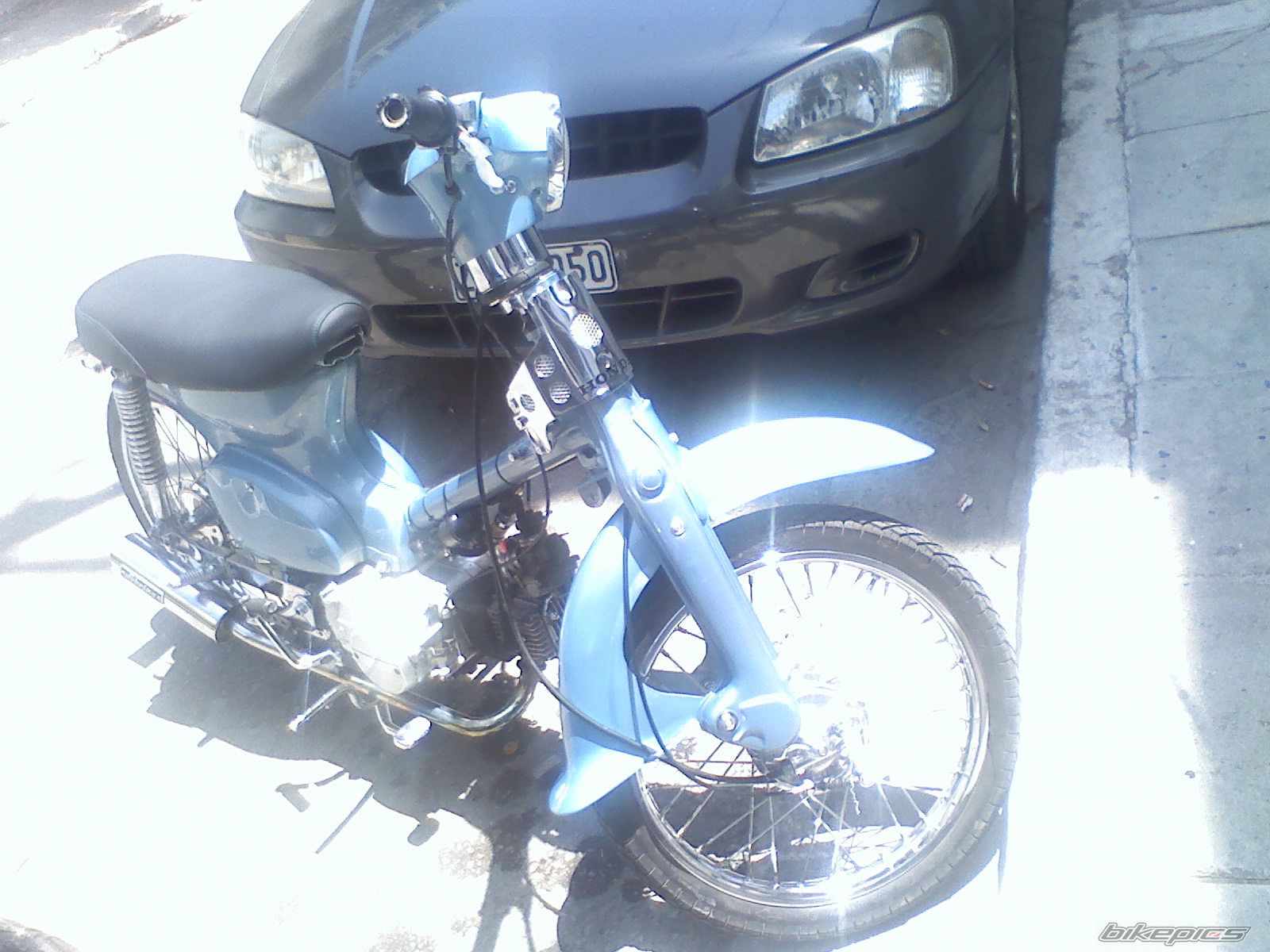 Photo 1303392