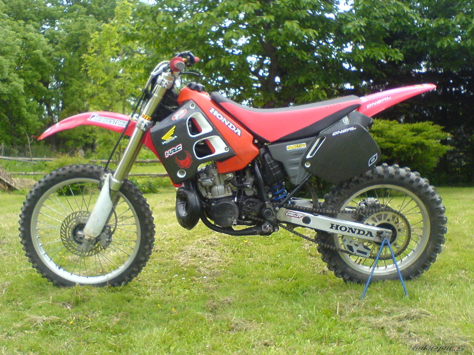 Photo 1303394