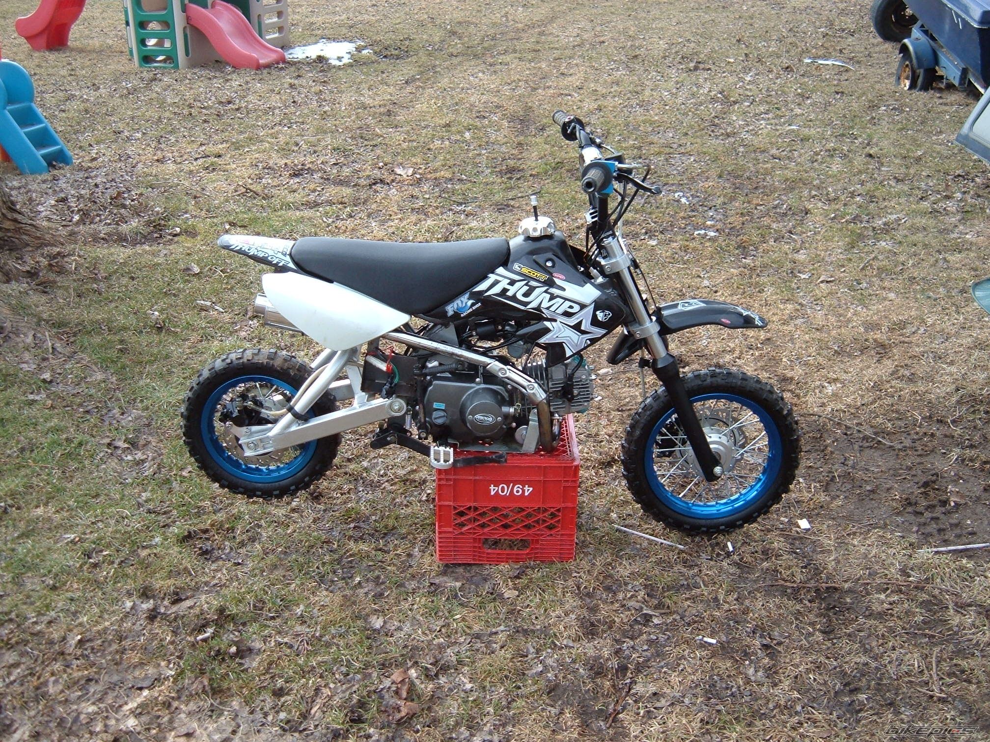 Photo 1303405