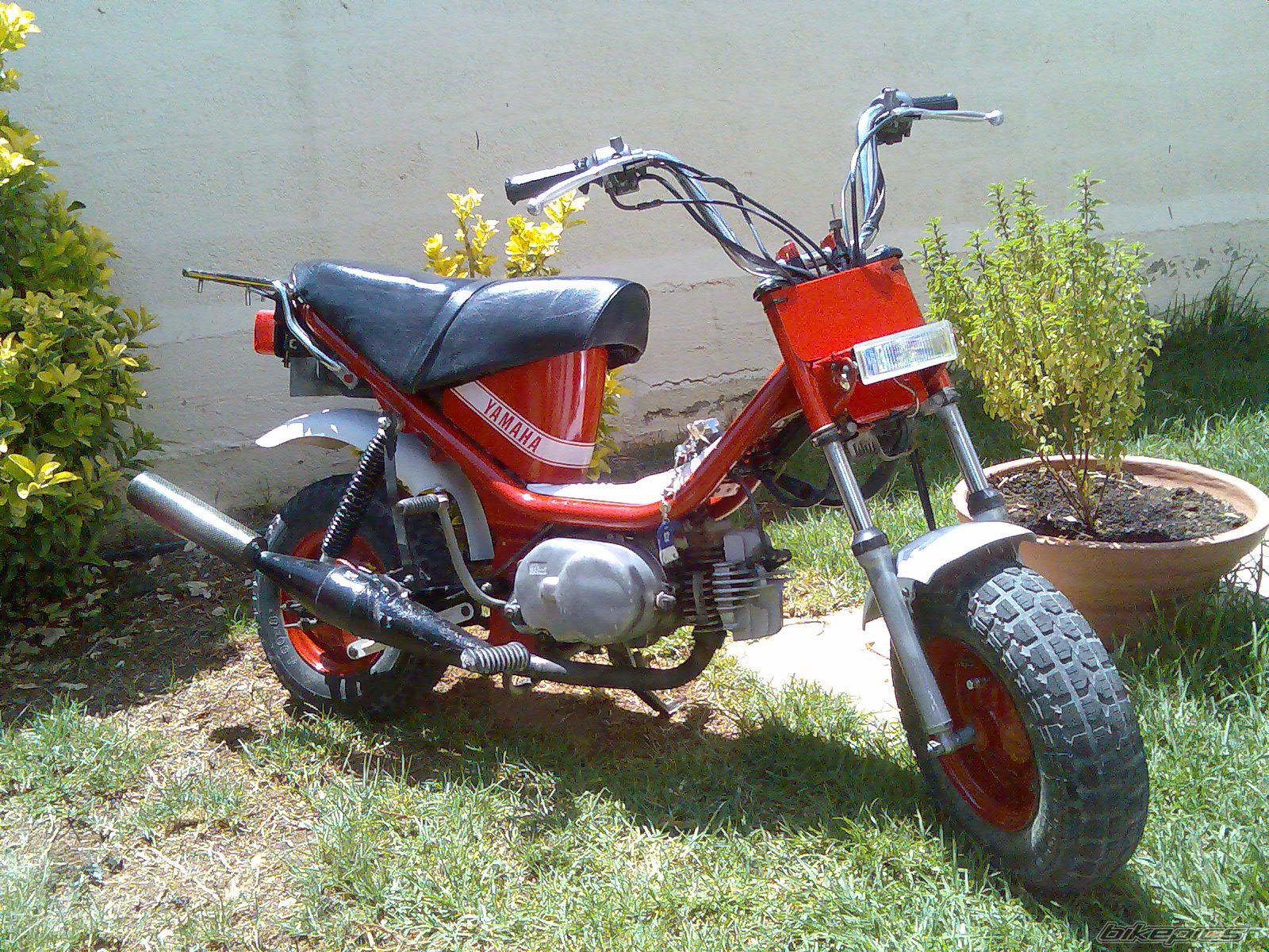 Photo 1303441